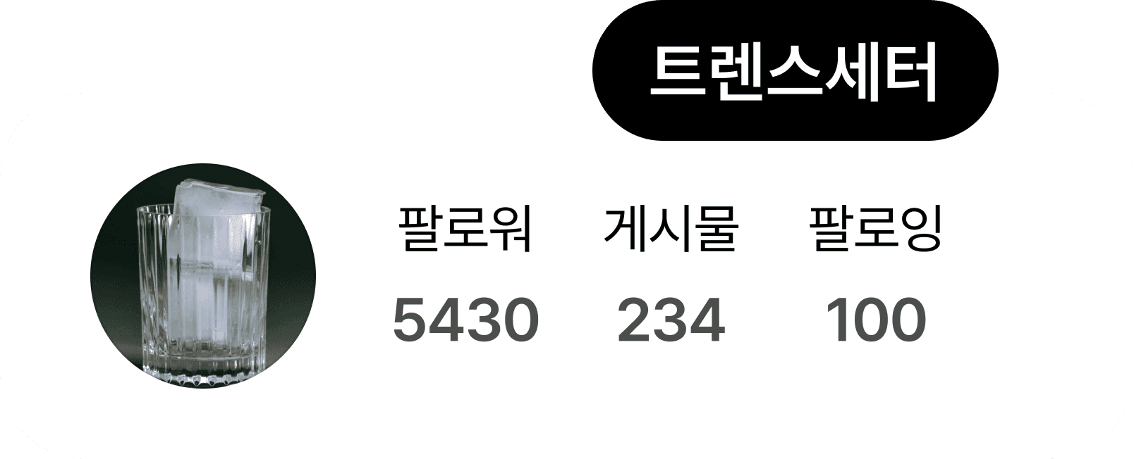 트렌드세터 프로필 카드: 팔로워 5430, 게시물 234, 팔로잉 100